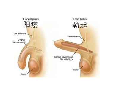 你的肾好不好到底从何而知